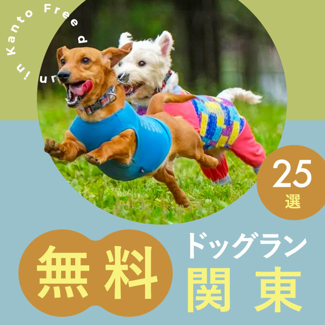 【2023年版】関東の無料ドッグラン25選！関東でおすすめの無料ドッグラン！