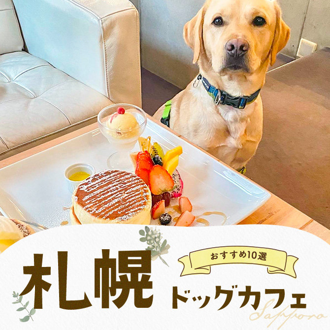 【ドッグカフェ札幌】札幌でおすすめのドッグカフェ10選！愛犬同伴OK！