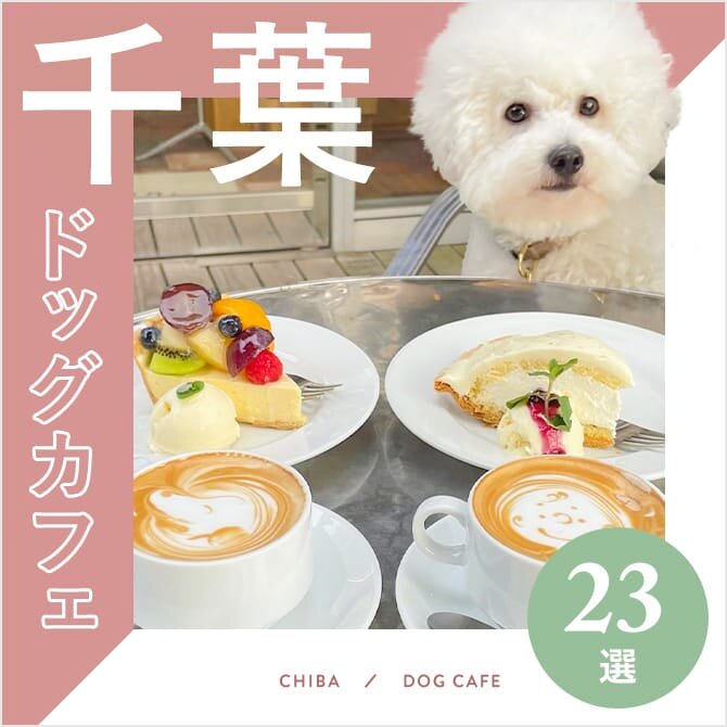 【千葉県ドッグカフェ】犬と行けるおすすめカフェ23選！ドッグラン付きや大型犬OKも！