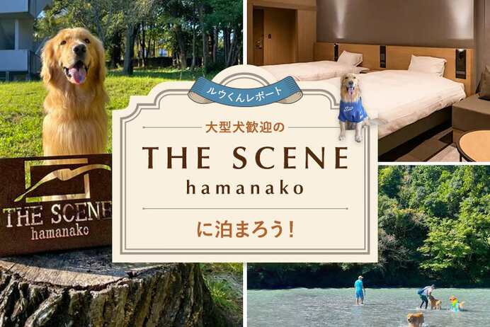 【愛犬と泊まれる浜名湖のホテル】大型犬歓迎のラグジュアリーホテル「THE SCENE hamanako」