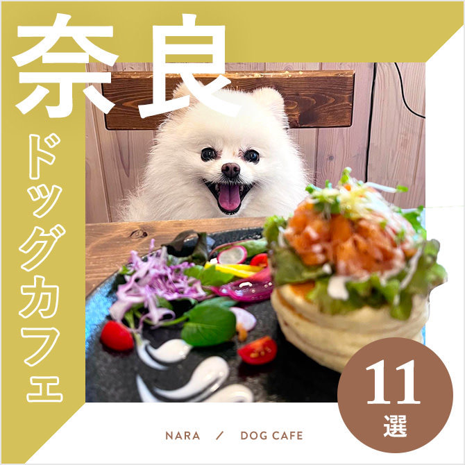 【奈良ドッグカフェ】奈良県のおすすめドッグカフェ11選！愛犬同伴OK！ドッグラン併設も！