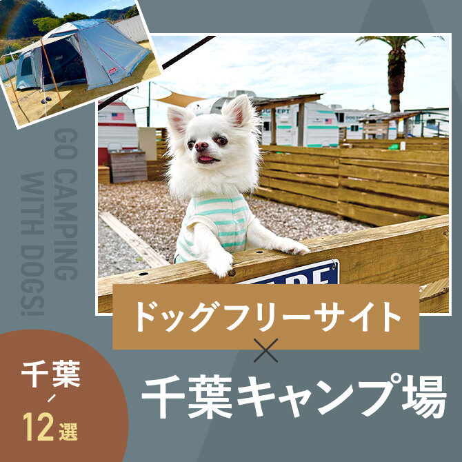 【ドッグフリーサイトのあるキャンプ場 千葉12選】ペット可・犬連れOK！
