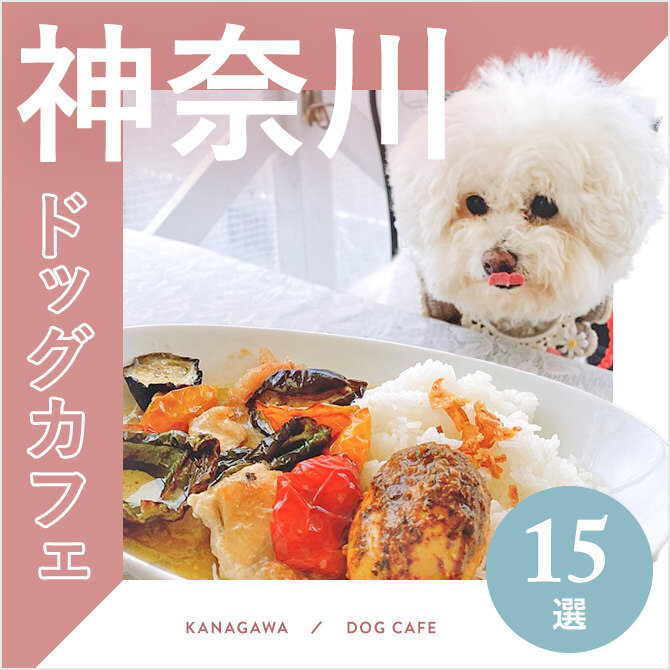 【ドッグカフェ神奈川】神奈川のおすすめドッグカフェ15選！大型犬店内同伴OKも！｜2023年版