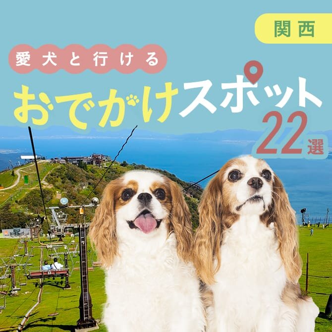 【関西】犬といけるお出かけスポット22選！ペット同伴可・愛犬連OKの人気スポット施設