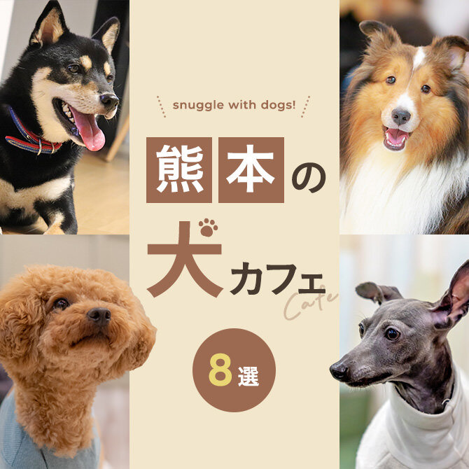 【熊本の犬と触れ合えるカフェ8選】犬カフェなど熊本で犬と触れ合えるカフェ