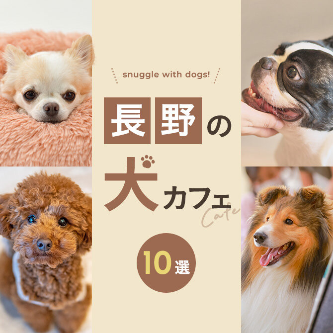 【長野の犬と触れ合える場所10選】犬カフェなど長野で犬と触れ合える場所