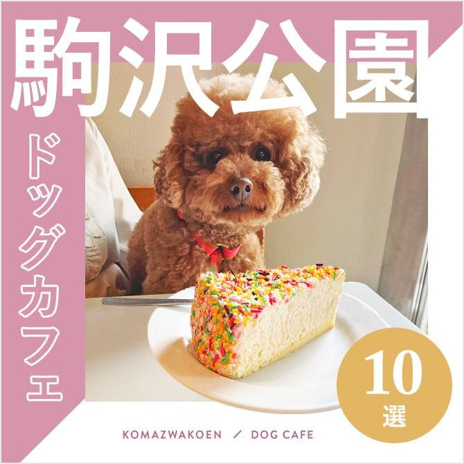 【駒沢公園ドッグカフェ10選】大型犬店内OKやワンコメニュー豊富なカフェも！｜2023年版