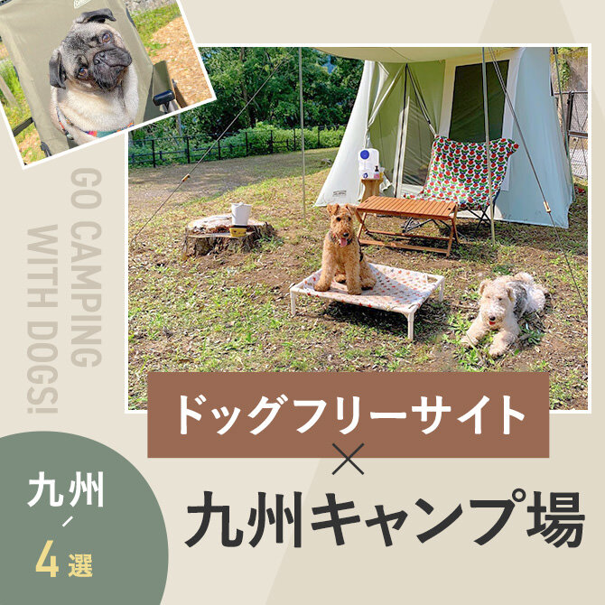 【九州のドッグフリーサイトのあるキャンプ場4選】ペット可・犬連れOK！