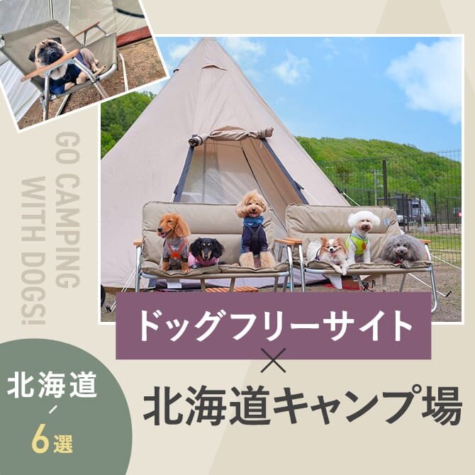【ドッグフリーサイトのあるキャンプ場 北海道6選】ペット可・犬連れOK！