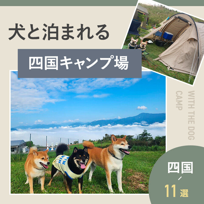 【四国の犬と泊まれるキャンプ場11選】ドッグフリーサイト・ドッグランのあるキャンプ場も！