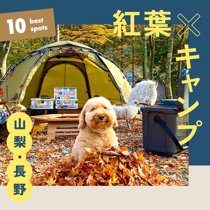 【紅葉キャンプ10選】犬と泊まれるキャンプ場｜2023年版