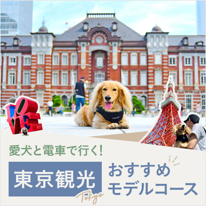 【東京の愛犬と行ける観光スポット】お得に観光を楽しめる東京日帰り旅のススメ