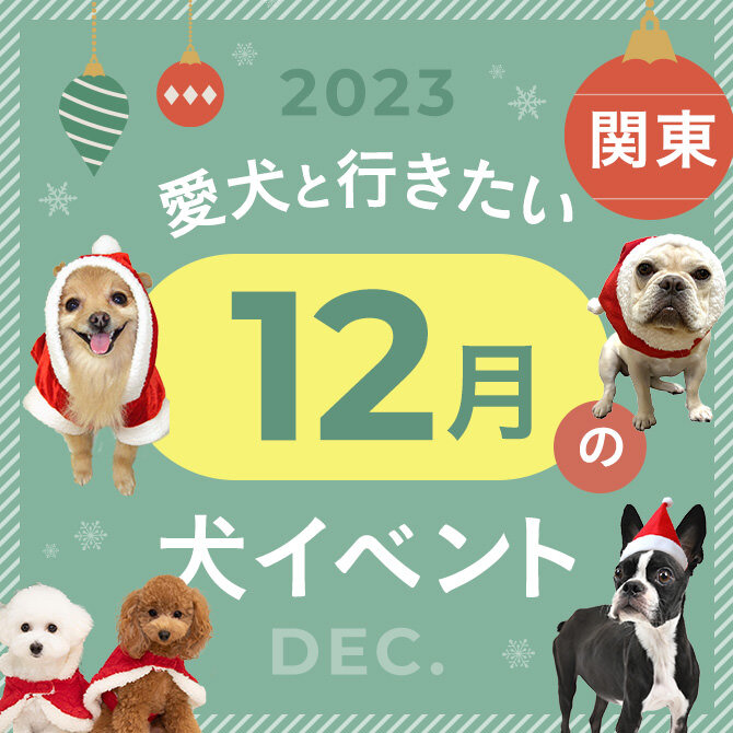 【2023年12月】関東で愛犬と行きたいイベント17選