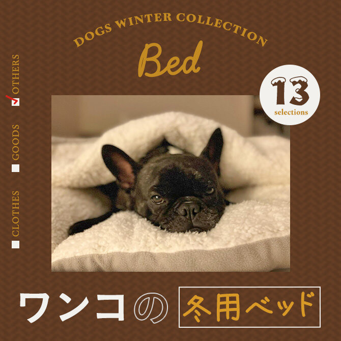 【犬のおすすめ冬ベッド特集】寒さ対策に犬の冬用ペットベッド12選！ニトリのNウォームも！