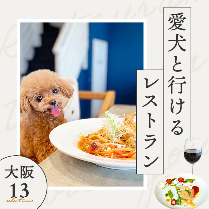 【大阪で愛犬と行けるレストラン13選】店内OK！ワンコメニューのあるレストランも！