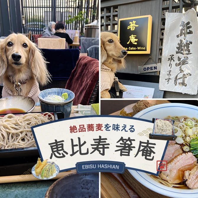 【恵比寿 箸庵】愛犬と一緒に和食を堪能できる蕎麦ダイニング