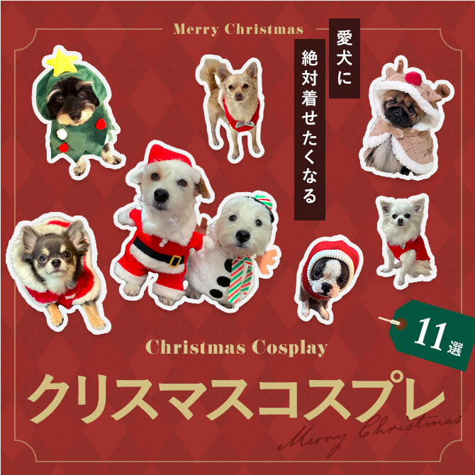 【犬のクリスマスコスプレ11選】帽子、ケープなど愛犬に着せたいクリスマスコスプレ！