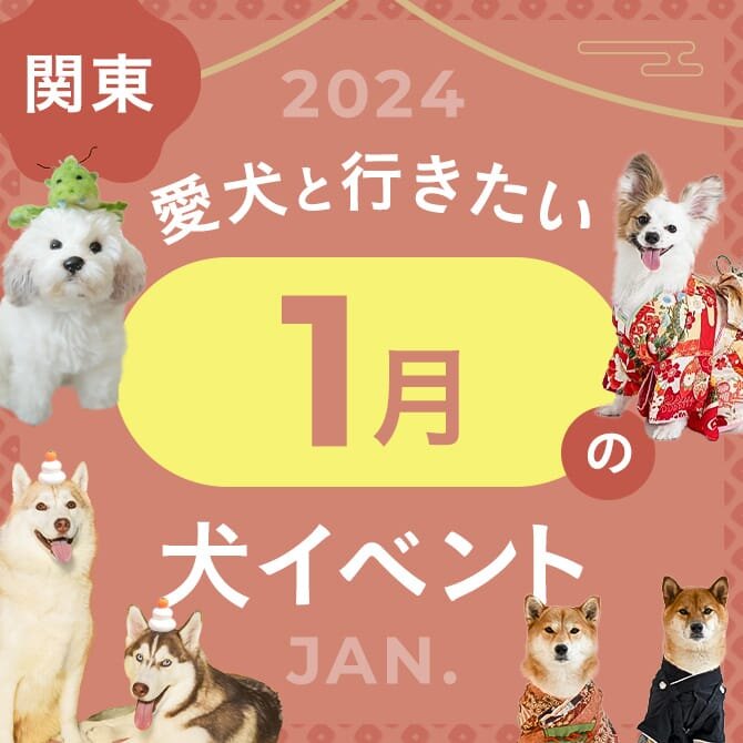 【2024年1月】関東で愛犬と行きたいイベント8選