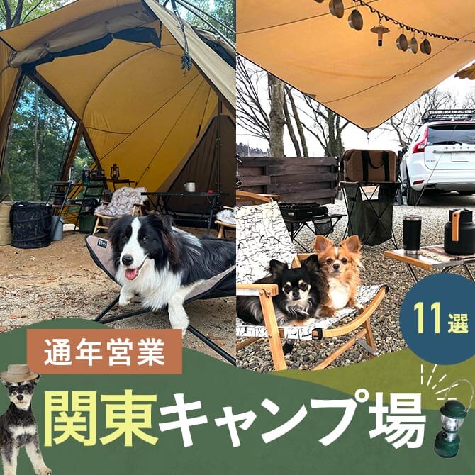 【関東の通年営業キャンプ場11選】犬と泊まれるドッグフリーサイトのあるキャンプ場