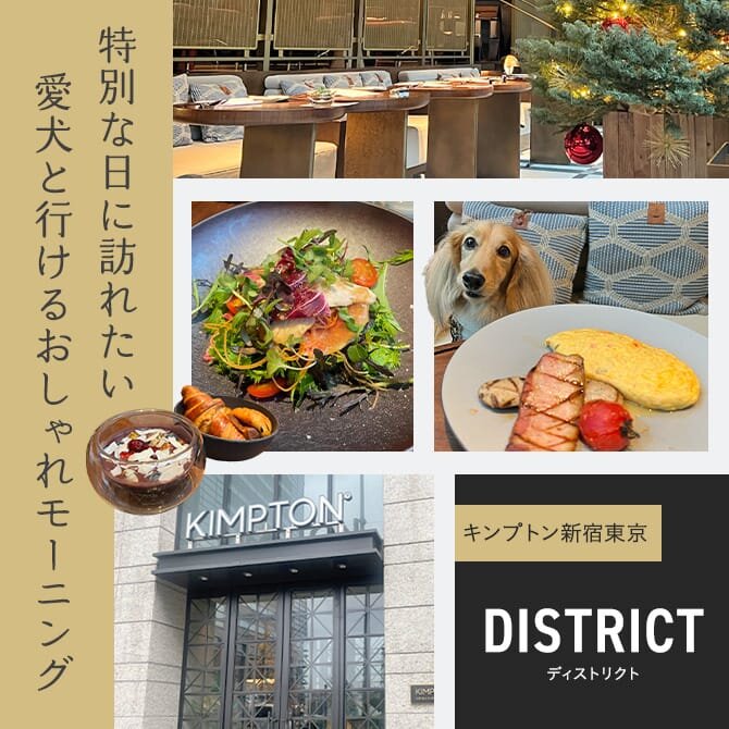 【愛犬と行くキンプトン新宿東京】ホテル併設のおしゃれカフェで特別なモーニングを楽しもう！