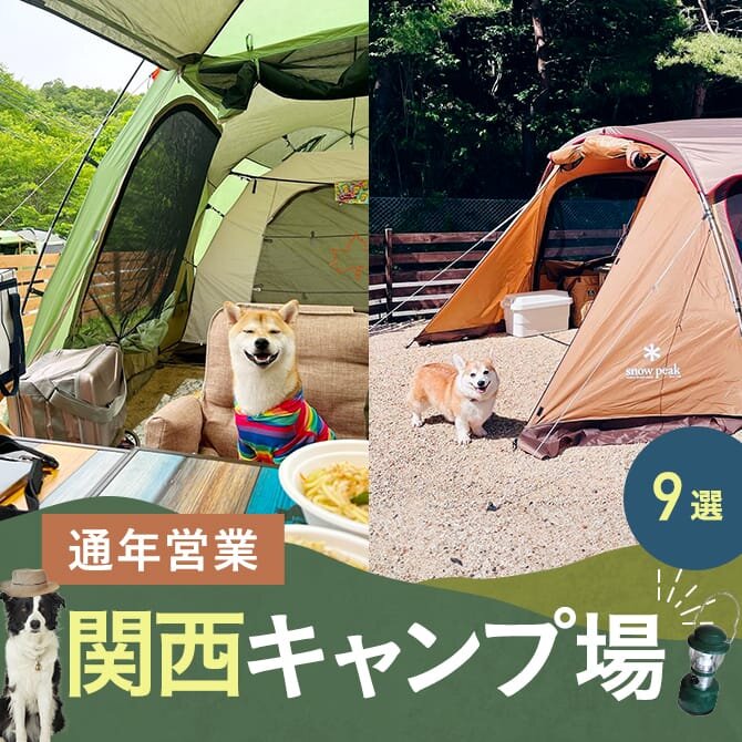 【関西の通年営業キャンプ場9選】犬と泊まれるドッグフリーサイトのあるキャンプ場
