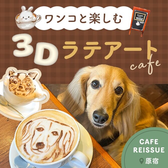 【3Dラテアートカフェ】犬と行ける東京のラテアートカフェ「CAFE REISSUE～リシュー～」