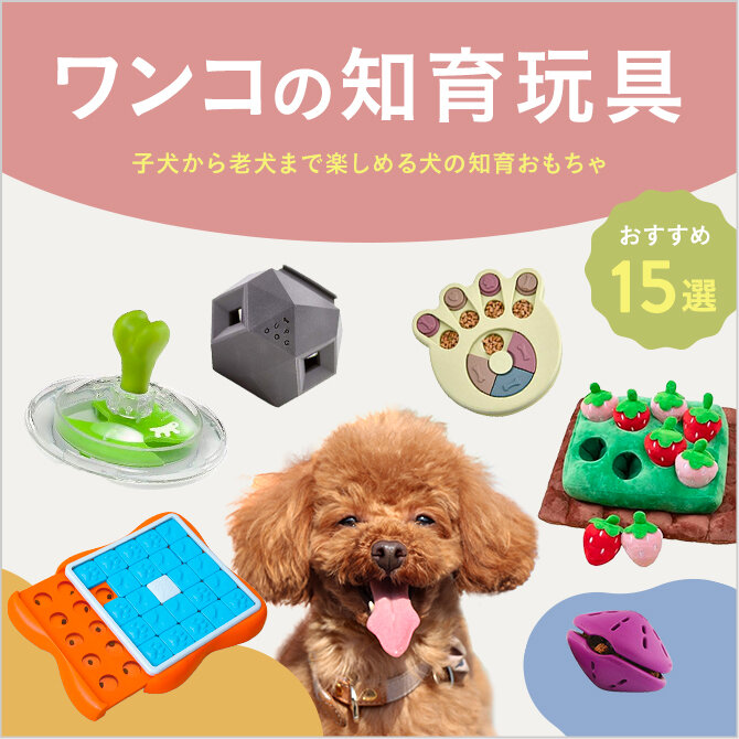 【犬の知育玩具】犬の知育おもちゃおすすめ15選！ノーズワークで脳を活性化！