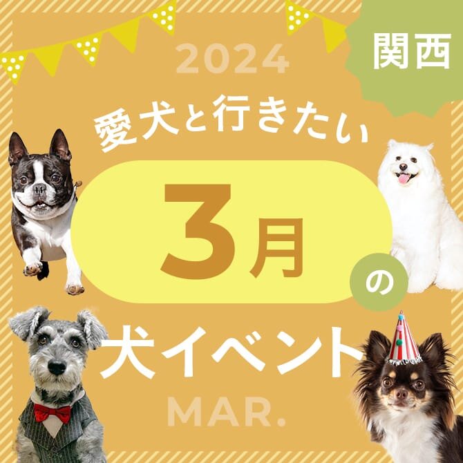 【2024年3月】関西で愛犬と行きたいドッグイベント18選