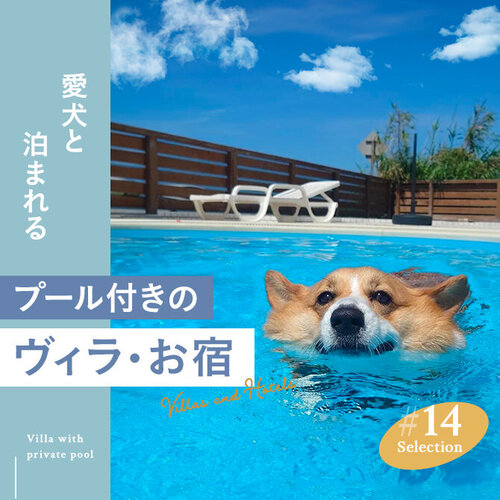 【犬と泊まれるプール付きヴィラ 14選】人気のペットと泊まれるプール付きヴィラ｜2024年最新版