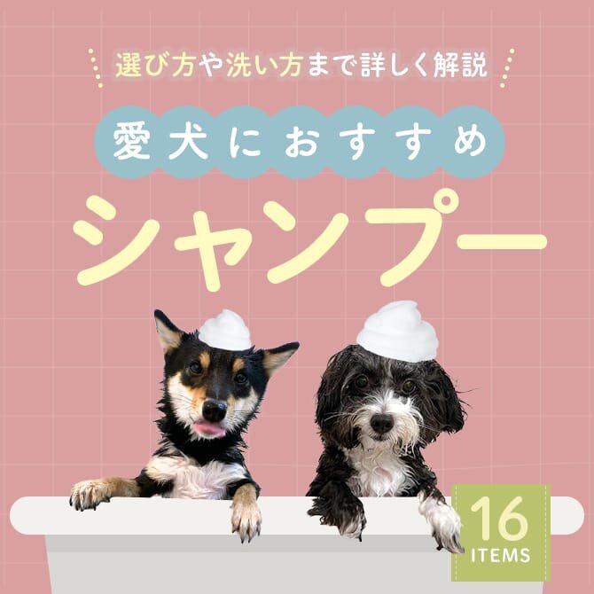 【犬用シャンプー16選】選び方や洗い方まで詳しく解説｜2024年版