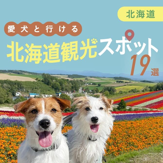 【北海道・札幌の犬連れ観光スポット19選】北海道・札幌で犬連れOKのおでかけ・ランチスポット