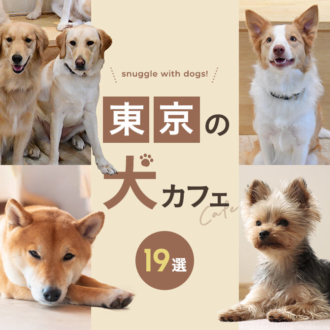 【東京 犬カフェ19選】東京で人気の犬カフェ！大型犬と触れ合えるカフェも！