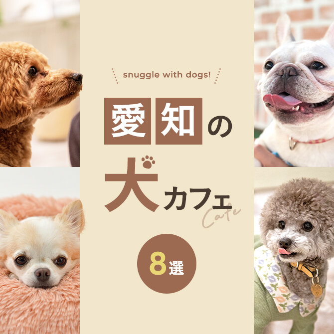 【愛知の犬と触れ合えるカフェ8選】愛知で人気の犬と触れ合える犬カフェ