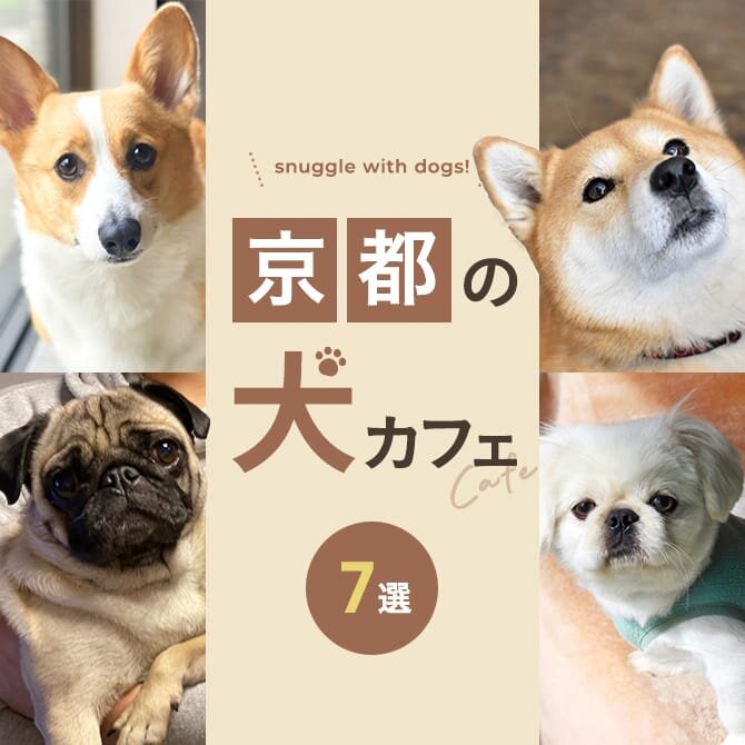 【京都の犬と触れ合えるカフェ7選】犬カフェなど京都で犬と触れ合えるカフェ