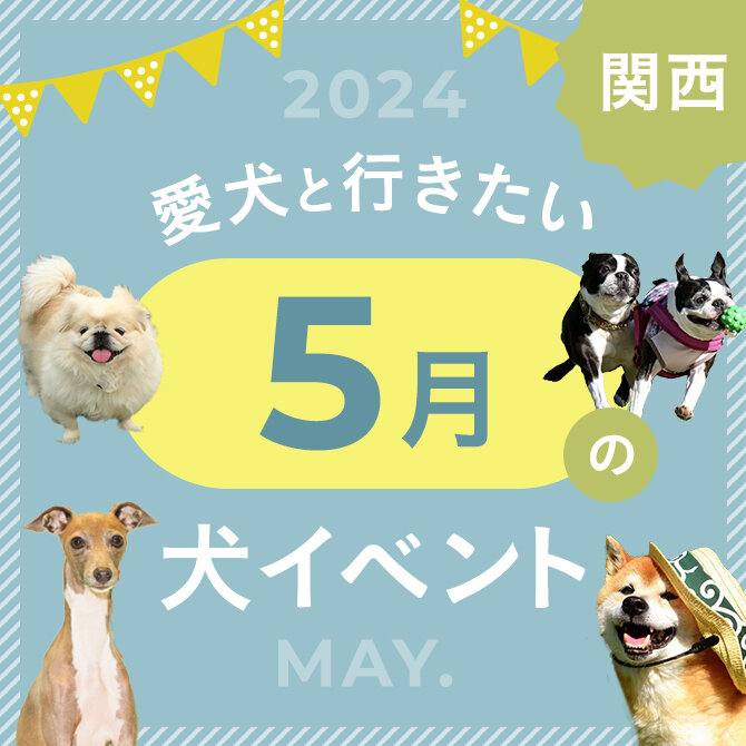 【2024年5月】関西で愛犬と行きたいドッグイベント13選