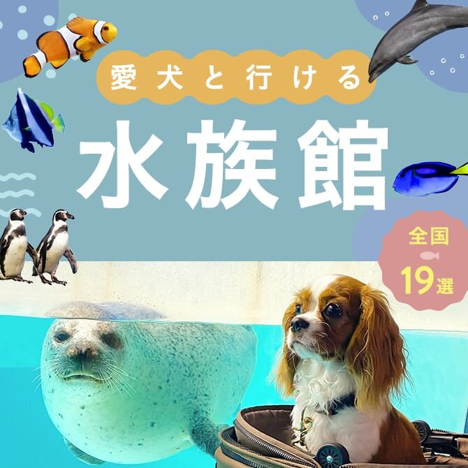 【犬連れOKな水族館】全国の犬と行ける水族館19選｜2024年版