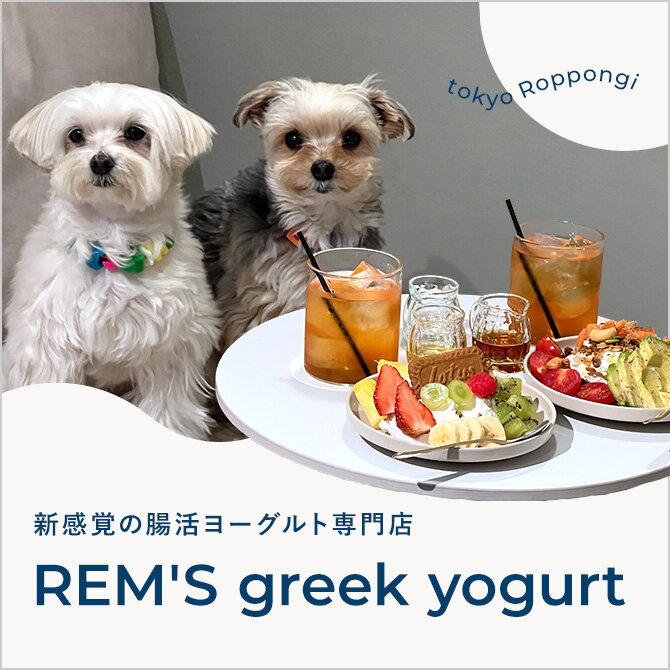 【六本木の犬と行けるカフェ】グリークヨーグルト専門店「REM'S greek yogurt 六本木」