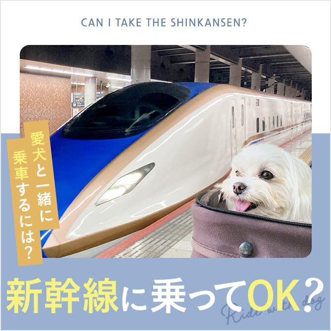 【犬は新幹線に乗れる？】犬を新幹線に乗せるための方法・準備。知っておきたいマナーや料金