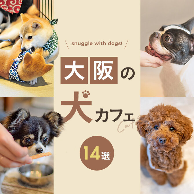 【大阪の犬と触れ合えるカフェ14選】大阪で人気の犬と触れ合える犬カフェ