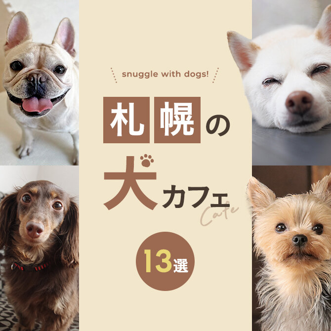 【札幌で犬と触れ合えるカフェ13選】北海道札幌で人気の犬と触れ合える犬カフェ