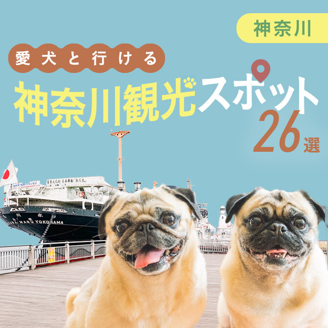 【神奈川の愛犬といけるお出かけスポット26選】ペット同伴・犬連れOKの人気スポット・施設