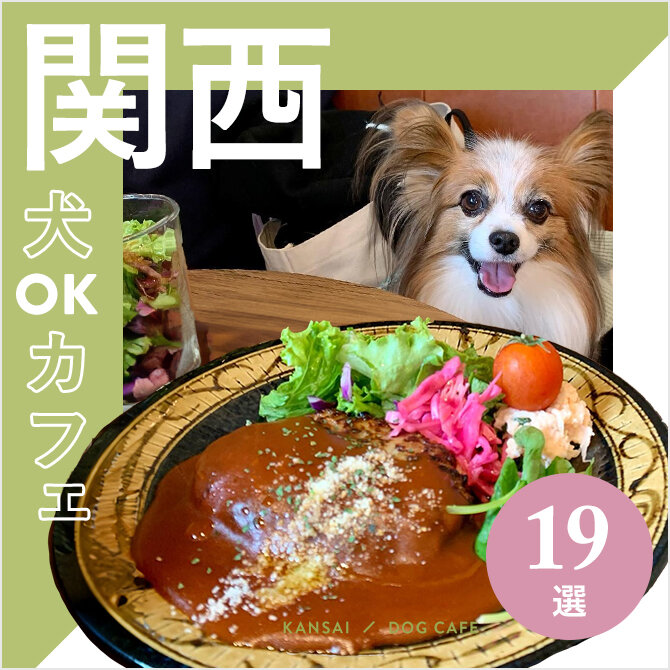 【関西ドッグカフェ19選】関西の犬といける人気カフェを厳選！｜2024年最新