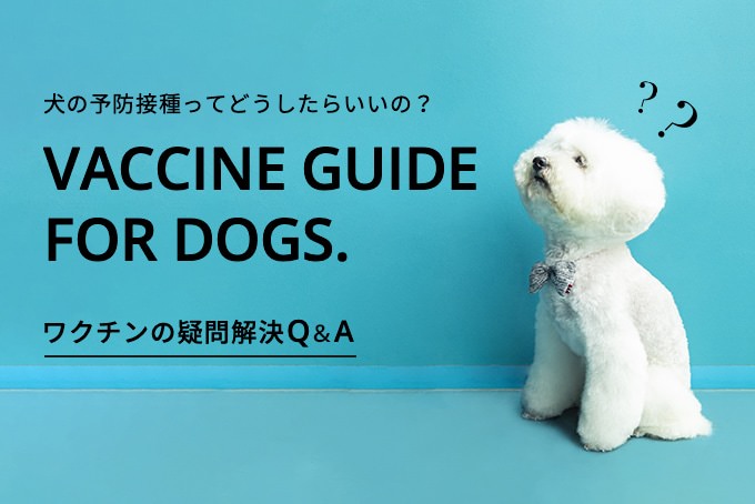犬の予防接種ってどうしたらいいの？VACCINE GUIDE FOR DOGS.ワクチンの疑問解決Q&amp;A