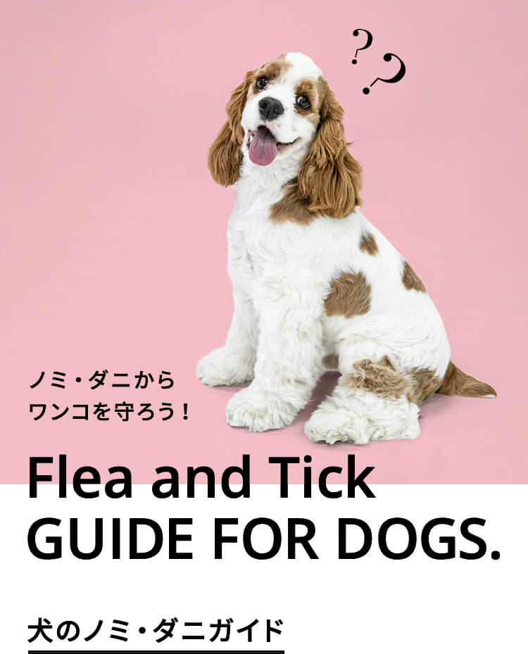 ノミ・ダニからワンコを守ろう！Flea and Tick GUIDE FOR DOGS. 犬のノミ・ダニガイド