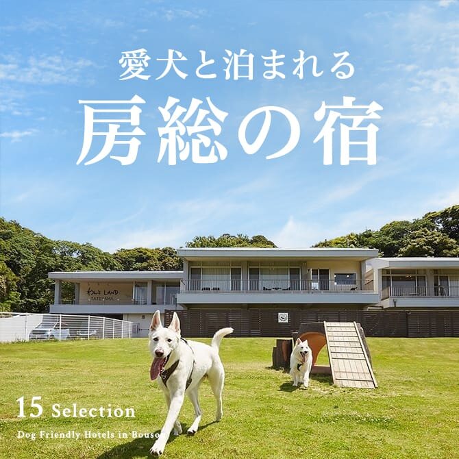 南房総のペットと泊まれる宿｜館山・鴨川のペット可宿