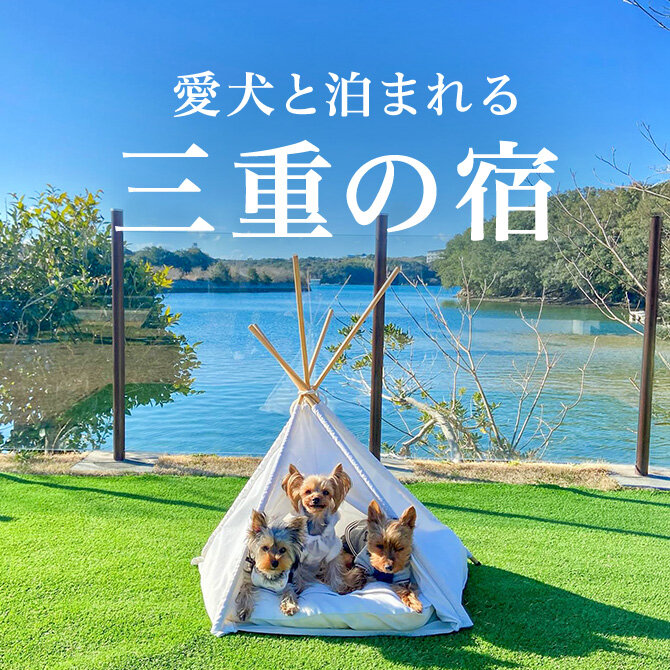 【三重】伊勢志摩のペットと泊まれる宿ランキング｜2026年最新宿一覧