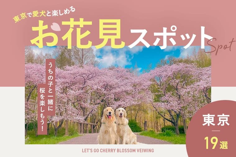 東京のお花見スポット19選】犬と行ける桜の名所