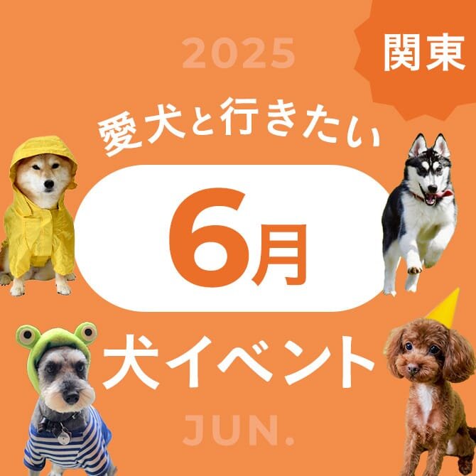 【2025年6月】関東で愛犬と行きたいドッグイベント16選