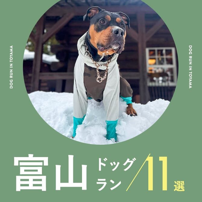 【ドッグラン富山11選】富山で人気のドッグラン11選！室内ドッグランやカフェ併設も！