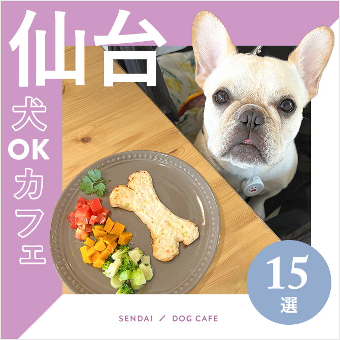 【仙台ドッグカフェ・犬と行けるカフェ15選】ワンコメニューのあるカフェやドッグラン付きも！